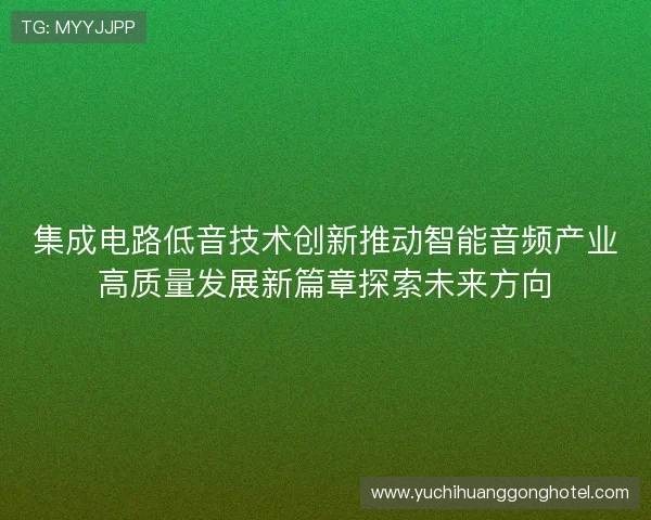 集成电路低音技术创新推动智能音频产业高质量发展新篇章探索未来方向